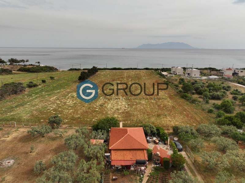 Οικόπεδο 11.700 τ.μ. πρός πώληση, Εβρος, Αλεξανδρούπολη