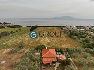 Οικόπεδο 11.700 τ.μ. για πώληση, Εβρος, Αλεξανδρούπολη-thumb-1
