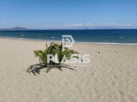 Αγροτεμάχια 5.365,8τ.μ. για πώληση-Μαραθώνας