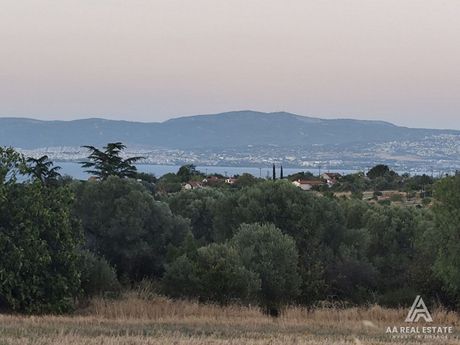 Parcel 2.400sqm for sale-Thermaikos » Agia Triada