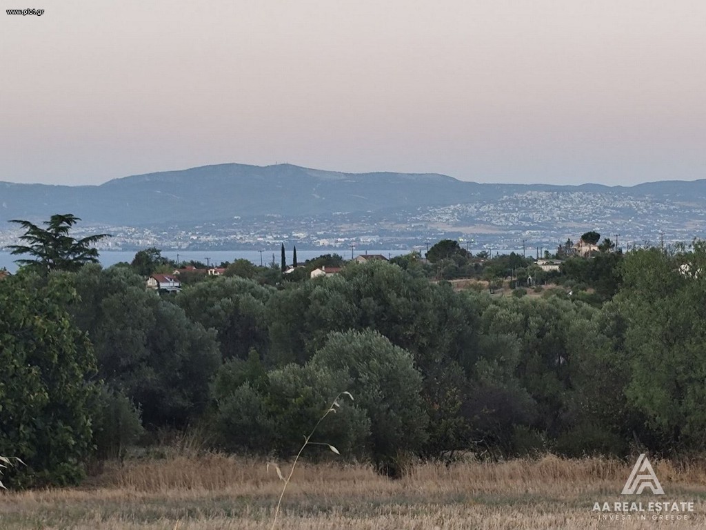 Αγροτεμάχια 2.400 τ.μ. πρός πώληση, Θεσσαλονίκη - Περιφ/Κοί Δήμοι, Θερμαϊκός