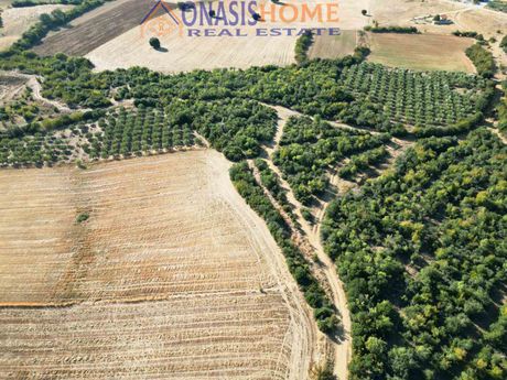 Αγροτεμάχια 11.600τ.μ. για πώληση-Αρέθουσα » Ξηροπόταμος