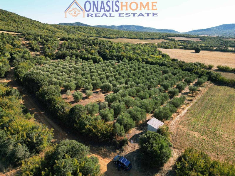 Αγροτεμάχια 11.600 τ.μ. πρός πώληση, Θεσσαλονίκη - Υπόλ. Νομού, Αρέθουσα