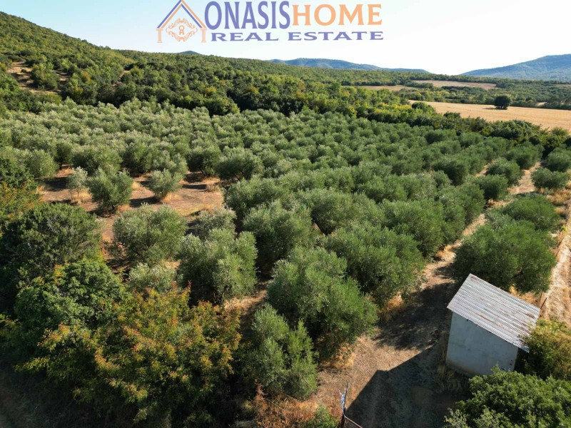Αγροτεμάχια 11.600 τ.μ. πρός πώληση, Θεσσαλονίκη - Υπόλ. Νομού, Αρέθουσα