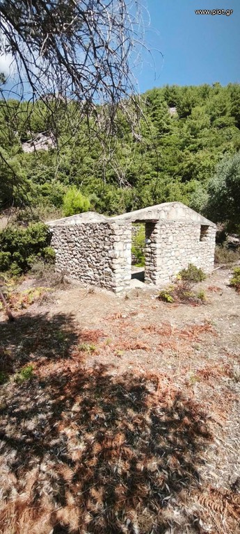 Αγροτεμάχια 3.000 τ.μ. για πώληση, Ν. Καβάλας, Θάσος