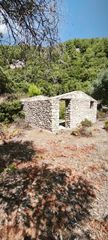 Αγροτεμάχια 3.000 τ.μ. για πώληση