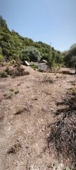 Αγροτεμάχια 3.000 τ.μ. για πώληση, Ν. Καβάλας, Θάσος-thumb-3