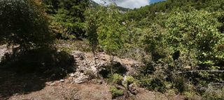 Αγροτεμάχια 3.000 τ.μ. για πώληση, Ν. Καβάλας, Θάσος-thumb-10