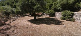 Αγροτεμάχια 3.000 τ.μ. για πώληση, Ν. Καβάλας, Θάσος-thumb-13
