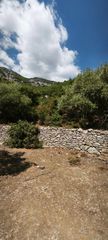 Αγροτεμάχια 3.000 τ.μ. για πώληση, Ν. Καβάλας, Θάσος-thumb-14