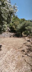 Αγροτεμάχια 3.000 τ.μ. για πώληση, Ν. Καβάλας, Θάσος-thumb-15