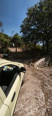 Αγροτεμάχια 3.000 τ.μ. για πώληση, Ν. Καβάλας, Θάσος-thumb-20