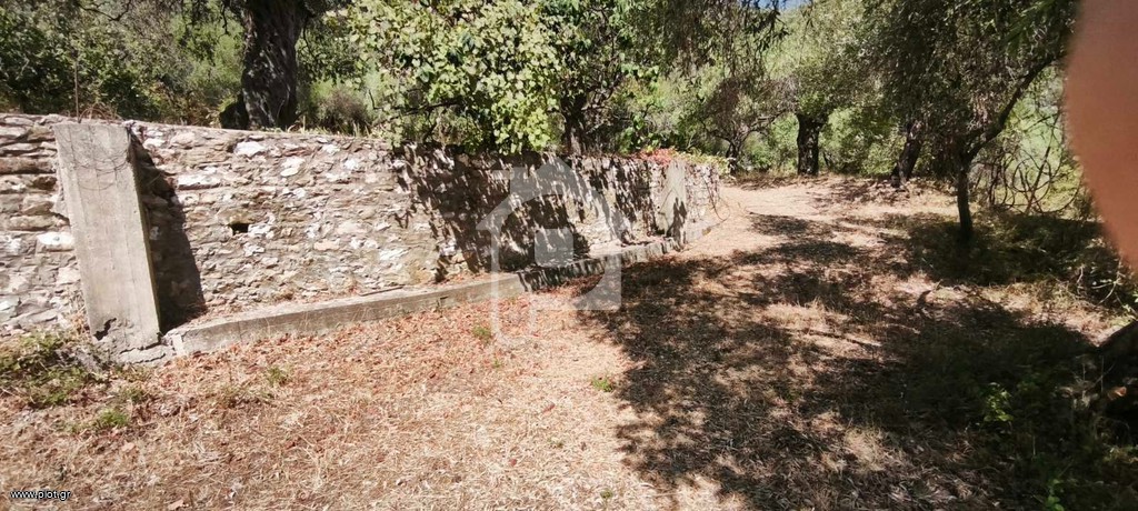 Μονοκατοικία 1.300 τ.μ. προς πώληση, Κοίνυρα