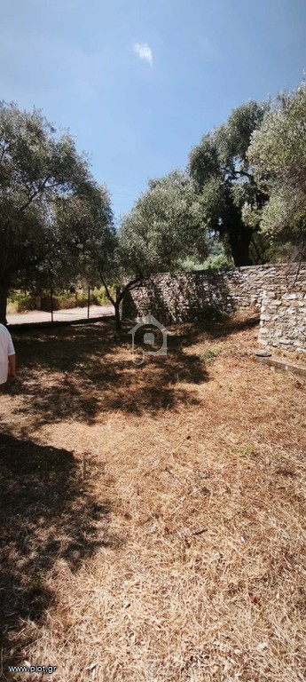 Μονοκατοικία 1.300 τ.μ. προς πώληση, Κοίνυρα