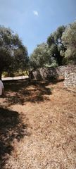 Μονοκατοικία 1.300 τ.μ. προς πώληση, Κοίνυρα-thumb-4