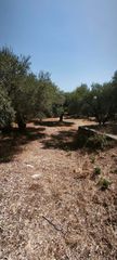 Μονοκατοικία 1.300 τ.μ. προς πώληση, Κοίνυρα-thumb-17