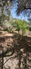 Μονοκατοικία 1.300 τ.μ. προς πώληση, Κοίνυρα-thumb-19