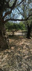 Μονοκατοικία 1.300 τ.μ. προς πώληση, Κοίνυρα-thumb-20