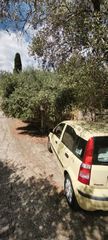 Μονοκατοικία 1.300 τ.μ. προς πώληση, Κοίνυρα-thumb-23