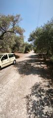 Μονοκατοικία 1.300 τ.μ. προς πώληση, Κοίνυρα-thumb-24
