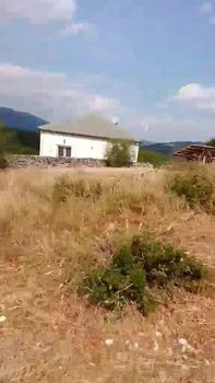 Αγροτεμάχια 70.000 τ.μ. για ενοικίαση