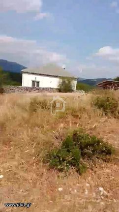 Αγροτεμάχια 70.000 τ.μ. για ενοικίαση, Ν. Ιωαννίνων, Δωδώνη