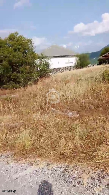 Αγροτεμάχια 65.000 τ.μ. πρός ενοικίαση, Ν. Ιωαννίνων, Δωδώνη