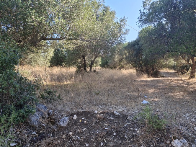 Οικόπεδο 714 τ.μ. πρός πώληση, Ν. Κεφαλονιάς, Κεφαλονιά