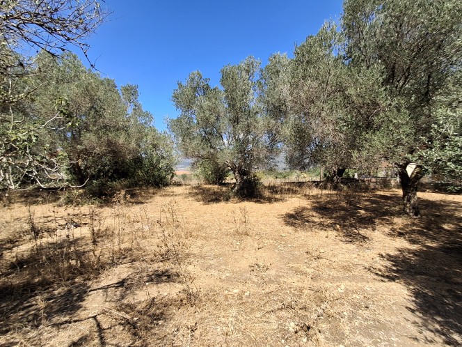 Οικόπεδο 714 τ.μ. πρός πώληση, Ν. Κεφαλονιάς, Κεφαλονιά