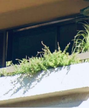 Διαμέρισμα 105τ.μ. για ενοικίαση-Ελληνικό » Άνω σούρμενα