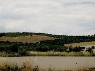 Αγροτεμάχια 5.832 τ.μ. για πώληση