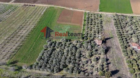 Αγροτεμάχια 7.150τ.μ. για πώληση-Τρίκαλα