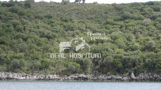 Οικόπεδο 316.000 τ.μ. πρός πώληση, Μεσσηνία, Αβία-thumb-3