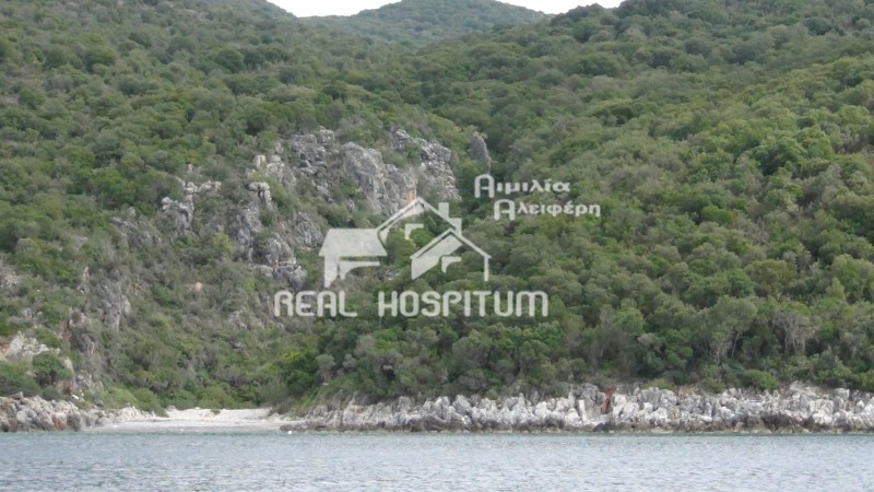 Οικόπεδο 316.000 τ.μ. πρός πώληση, Μεσσηνία, Αβία