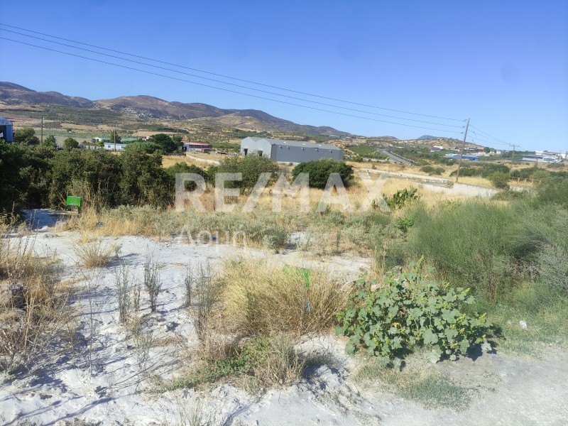 Αγροτεμάχια 27.094 τ.μ. πρός πώληση, Μαγνησία, Αισωνία