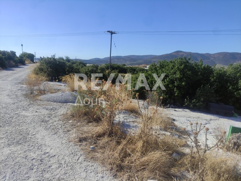 Αγροτεμάχια 27.094 τ.μ. πρός πώληση, Μαγνησία, Αισωνία