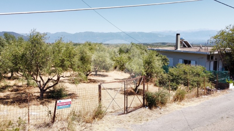 Οικόπεδο 2.220 τ.μ. για πώληση, Μεσσηνία, Μεσσήνη