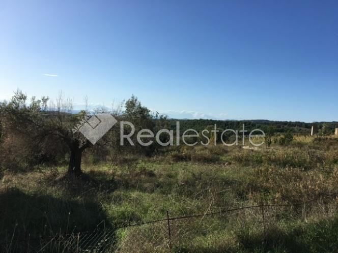 Οικόπεδο 920 τ.μ. πρός πώληση, Χαλκιδική, Παλλήνη