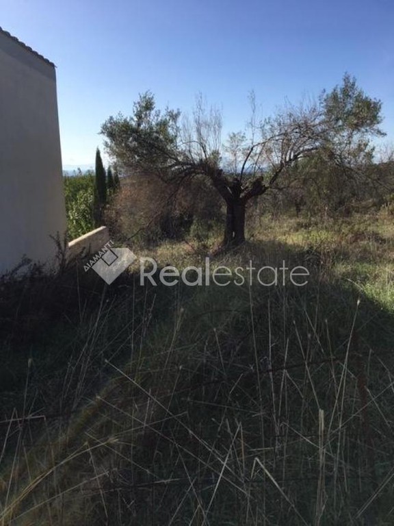 Οικόπεδο 920 τ.μ. πρός πώληση, Χαλκιδική, Παλλήνη