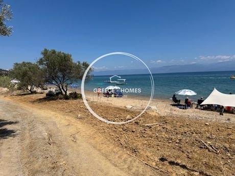 Άλλο 257τ.μ. για πώληση-Κορώνη » Κόμποι