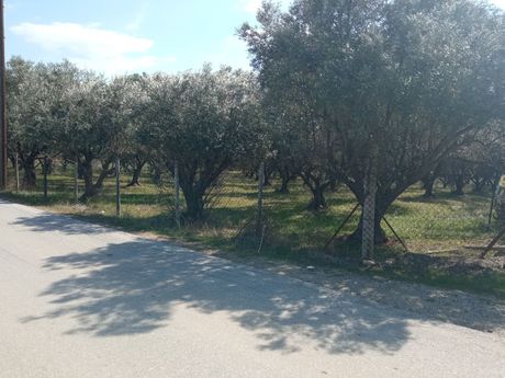 Οικόπεδο 445 τ.μ. πρός πώληση