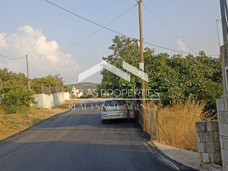 Οικόπεδο 6.128 τ.μ. προς πώληση, Σιρίλι