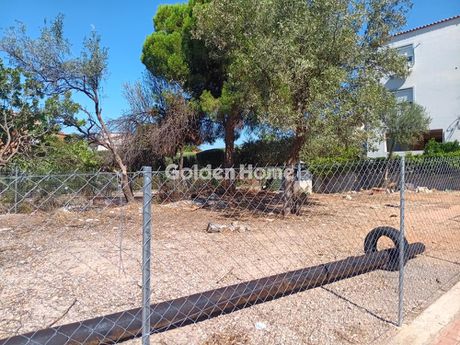 Land plot 333 sqm for sale