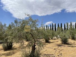 Οικόπεδο 2.100 τ.μ. για πώληση