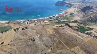Αγροτεμάχια 12.312 τ.μ. για πώληση