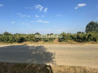 Αγροτεμάχια 4.500 τ.μ. για πώληση