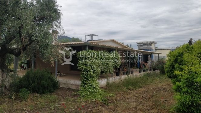 Οικόπεδο 21.000 τ.μ. για πώληση, Φθιώτιδας, Αταλάντη