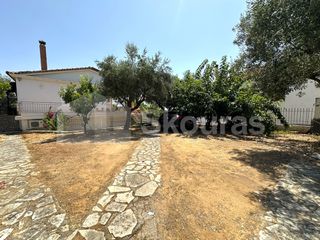 Μονοκατοικία 230 τ.μ. για πώληση, Μεσσηνία, Μεσσήνη-thumb-29