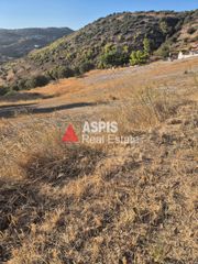 Αγροτεμάχια 4.700 τ.μ. για πώληση