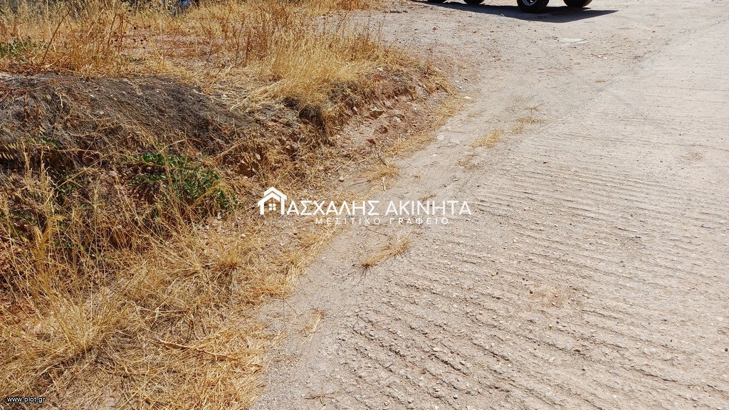 Οικόπεδο 270 τ.μ. προς πώληση, Παλαιόκαστρο Γαζίου